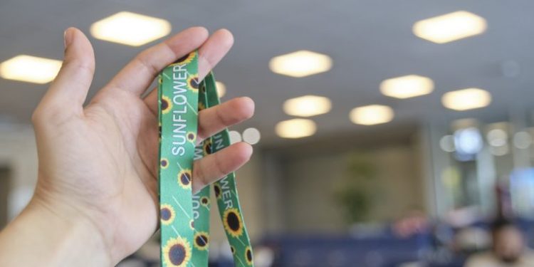 LEI PREVÊ USO DE FITA COM DESENHO DE GIRASSÓIS PARA IDENTIFICAR PESSOA COM DEFICIÊNCIA NÃO APARENTE