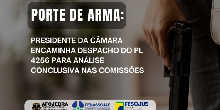 PORTE DE ARMA: PRESIDENTE DA CÂMARA ENCAMINHA PL 4256 PARA ANÁLISE CONCLUSIVA NAS COMISSÕES
