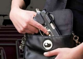 CSPCCO APROVA PORTE DE ARMA PARA OFICIAIS DE JUSTIÇA