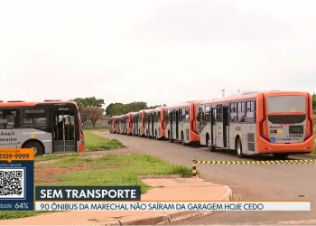 ATUAÇÃO DE OFICIAIS DE JUSTIÇA DO TJDFT GARANTE CUMPRIMENTO DE ORDEM JUDICIAL PARA APREENSÃO DE 90 ÔNIBUS NO DISTRITO FEDERAL